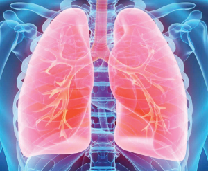 Lung function