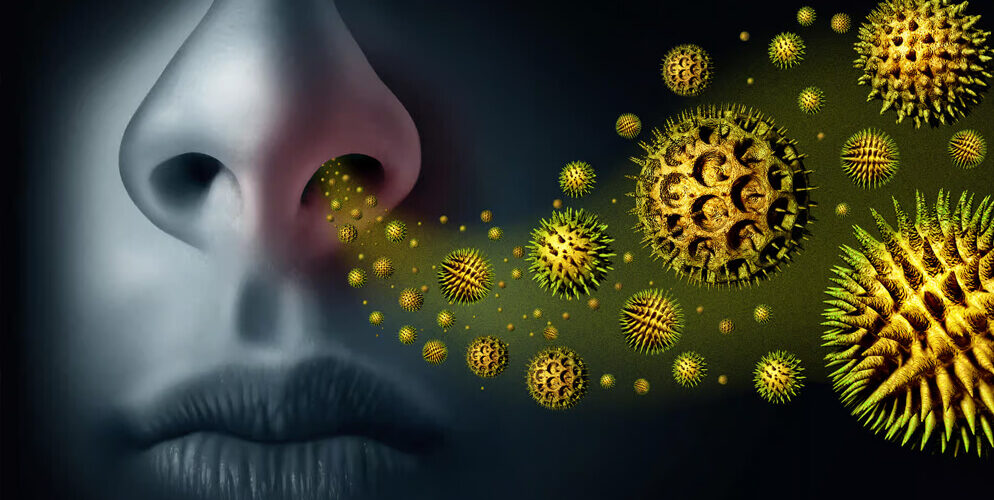 Who-Are-Adult-Allergists-Dubai